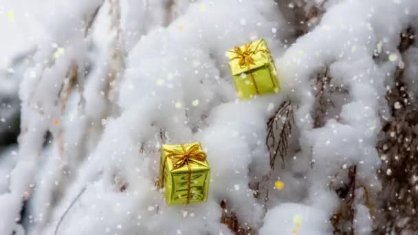 Dos Pequeños Regalos Oro Colgando Una Rama Nieve — Vídeo de stock