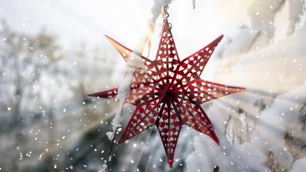 Estrella Roja Colgando Árbol Nieve Los Rayos Sol — Vídeos de Stock