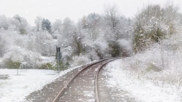 Ferrocarril Que Conduce Través Nieve Niebla Paisaje — Vídeo de stock