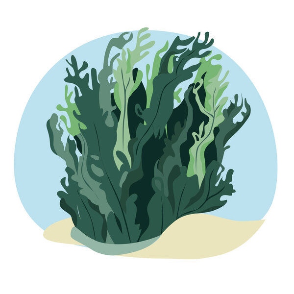 Seaweed in the water. Vector