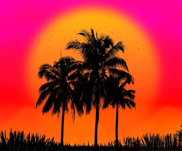 Пальмовый Силуэт Красивом Красочном Фоне — стоковое фото