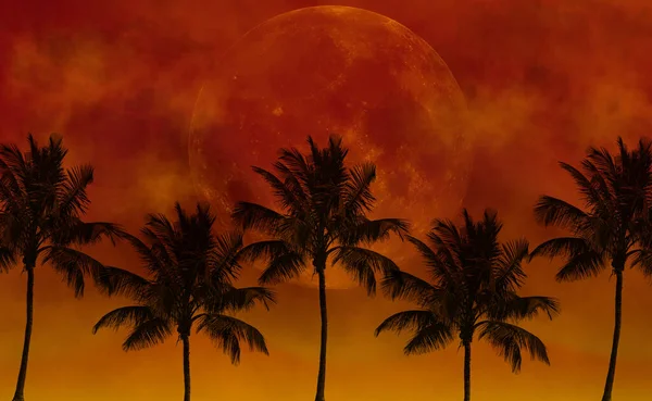 Palma Roja Sobre Fondo Oscuro Nocturno —  Fotos de Stock