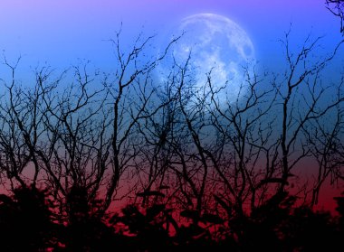 Parlak dolunay karanlık ve gizemli bir ormanda çıplak dalların karanlık siluetlerini aydınlatıyor.