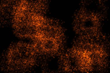 Siyah arkaplanda dönen altın parçacıklar büyülü bir soyut arkaplan oluşturuyorlar