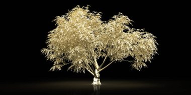 Altın ağaç siyah bir zemin üzerine aydınlatılmış, lüks ve zarif bir atmosfer yaratıyor.