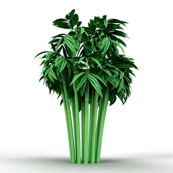 Beyaz arka planda yemyeşil bir bambu bitkisinin 3 boyutlu görüntüsü canlı ve doğal bir görüntü oluşturur.