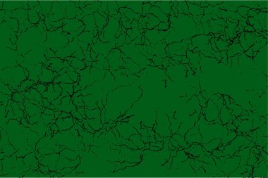 Beyaz bir yüzey boyunca yayılan karmaşık siyah çatlaklar ağı sıkıntılı ve yıpranmış bir doku arka planı oluşturur.