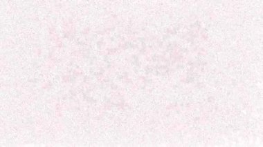 Dominik Cumhuriyeti ulusal bayrak renkleriyle harita animasyonunu özetledi