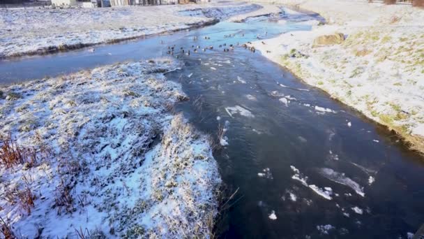 Nakloněný Záběr Zamrzlé Řeky Během Zimy — Stock video