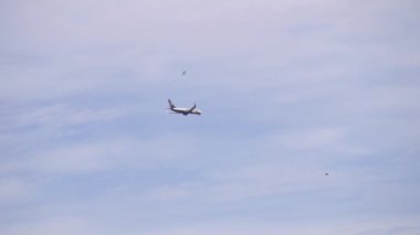 Kuşların etrafında bulutlu gökyüzünde uçan uçaklar. Mavi gökyüzü ile siluet içinde süzülen bir uçak. Modern ulaşım ve havacılık. Yolcu jeti kalkıyor.