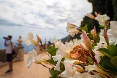 Odaklanamayan bir fotoğrafçı ön planda beyaz çiçeklerle manzaralı bir manzara yakalıyor. Sahne, bir sükunet ve doğa memnuniyetini çağrıştırıyor..