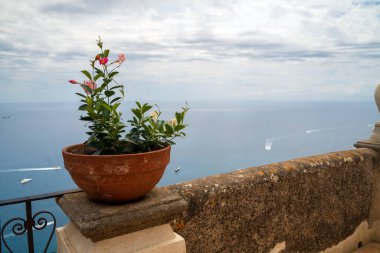 İtalyan kasabası Ravello 'daki Villa Cimbrone' da Terrazza Dell 'Infinito' nun balkonunda bir saksı vardı..