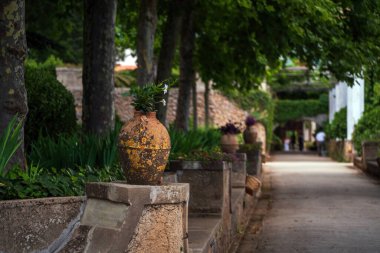 Comune di Ravello, İtalya - 20 Haziran 2024: Villa Cimbrone Terracotta saksıları ve yemyeşil otlarla süslenmiş sakin ve kırsal bir atmosfer taşımaktadır..
