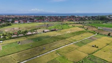 Bali 'nin nefes kesen güzelliğinin üzerinde süzül, gür pirinç tarlalarının ışıl ışıl okyanusla buluştuğu yerde, doğal güzelliğin çarpıcı bir manzarasını yaratıyor..
