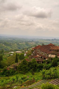 Bali 'nin dağlık kesimlerinde bulunan terk edilmiş lüks bir otel kompleksi, bereketli tropikal bitki örtüsü ve tarım teraslarıyla çevrili, kırmızı kiremitli ve teraslı kendine özgü bir mimariye sahip.