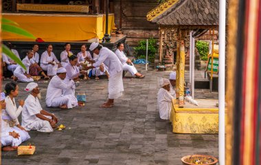 Bali, Endonezya - 30 Kasım 2023: Bali, Endonezya 'daki cemaat üyeleri, geleneksel bir törene katılın, kültürel giysiler giyin ve ruhani uygulamalara katılın.