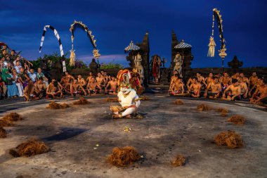 Bali, Endonezya - 29 Kasım 2023: Kutsal Beyaz Maymun Hanuman, Bali 'nin Kecak ayininde dikkatleri üzerine çekti.