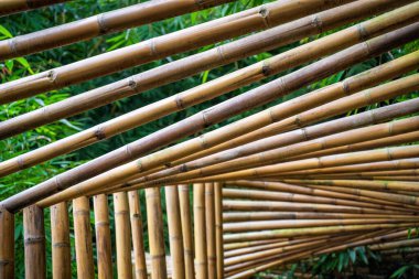 Karmaşık kafes tasarımlı bambu tünel yapısı Bali 'nin verimli yeşilliklerinde sürdürülebilir mimari sergiliyor.