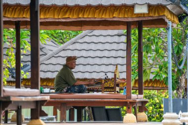 Bali, Endonezya, 11 Kasım 2024: Bir müzisyen doğal yeşilliklerle çevrili kültürel bir pavyonda geleneksel Bali müziği çalar. Sahne, Endonezya kültürünü, zanaatkarlığı ve tropiklerin barışçıl atmosferini ön plana çıkarıyor..