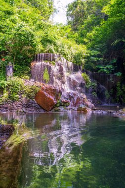 Goa, Bali 'de Sunlit Raja Şelalesi, çok katmanlı inişini çevreleyen parlak yeşil yapraklarla. Kristal su, russet taşlarının üzerine dökülür. Çevredeki bitkileri yansıtan berrak bir havuza..