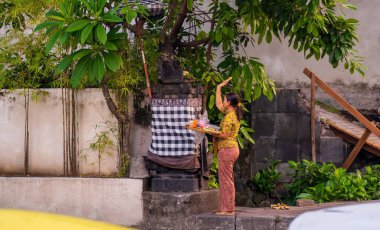 Bali, Endonezya - 12 Aralık 2023: Sarı elbiseli kadın, bereketli tropikal yaprakların altında siyah ve beyaz kareli kumaşlara sarılı bir Bali türbesinde dua ediyor..
