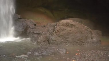 Dramatik bir dikey tava Goa Raja Şelalesi 'ni ortaya çıkarıyor. Kayalık zeminden yoğun ağaç tepesi ormanına, canlı doğal ses ve sise batmış, Bali Endonezya