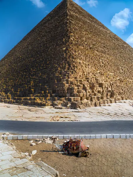 Büyük Piramit 'in devasa kireçtaşı bloklarının yakın görüntüsü ve GizaDetaylı piramidin antik taş yapısının altında yatan geleneksel Mısır devesi perspektifi.