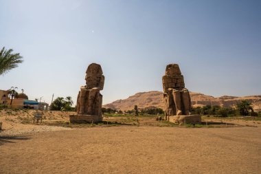 Mısır 'ın Luxor kentindeki Memnon heykellerinin antik Colossi heykelleri. Çölde palmiye ağaçları ve dağlarla nöbet tutan devasa firavunsal anıtlar.