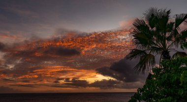 Karayip adası Curacao 'nun manzarası