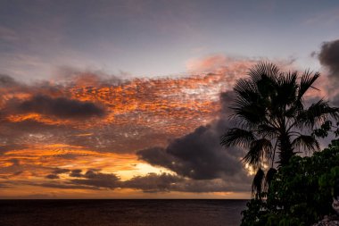 Karayip adası Curacao 'nun manzarası