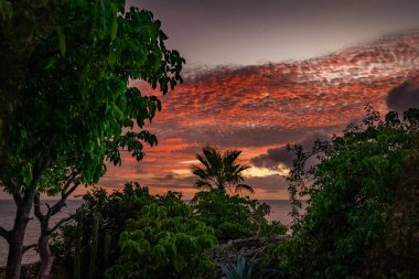 Karayip adası Curacao 'nun manzarası
