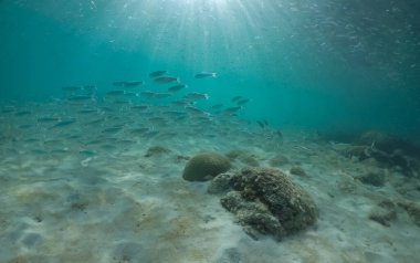 Deniz manzarası çok güzel.