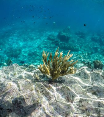 Deniz manzarası çok güzel.