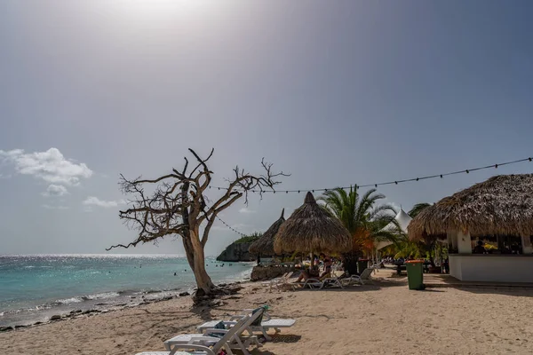 Vacker Tropisk Strand Med Hav Och Torkat Träd — Stockfoto