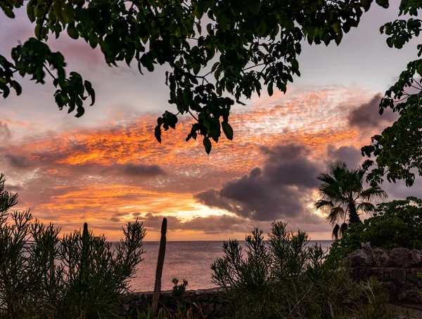 Вид Карибский Остров Кюрасао — стоковое фото