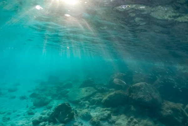 Vacker Undervattensutsikt Havet — Stockfoto