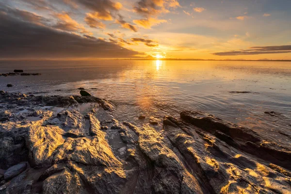 Anglesey Adasında Gün Doğumu — Stok fotoğraf