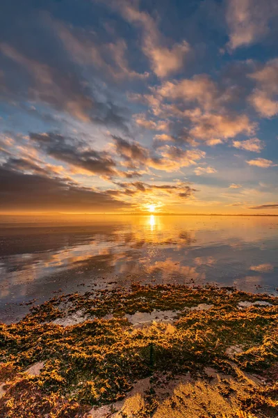 Zonsopgang Het Eiland Anglesey — Stockfoto