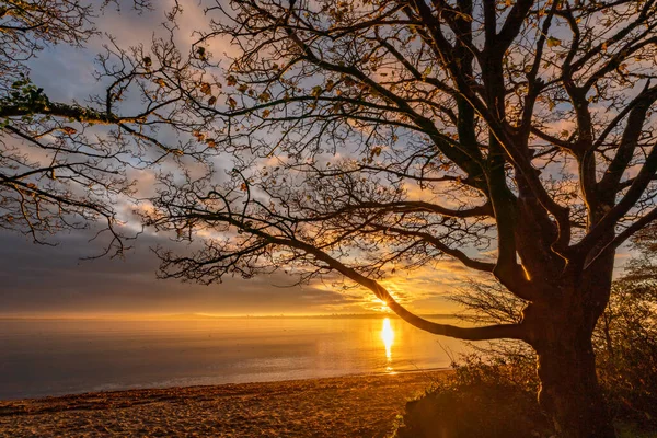 Východ Slunce Ostrově Anglesey — Stock fotografie