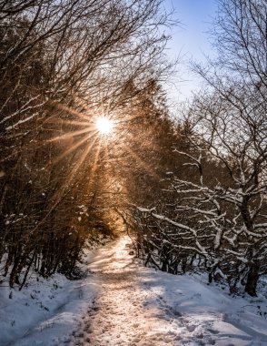 Kar düştükten sonra kar yağdı