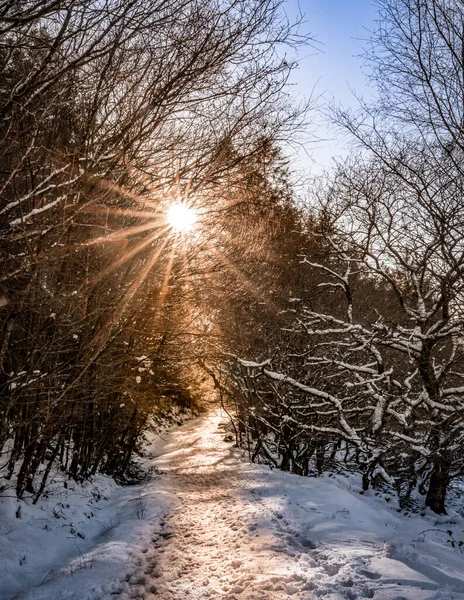 Kar düştükten sonra kar yağdı