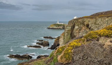 Anglesey Kuzey Galler 'in Güney Yığını Deniz Feneri Adası