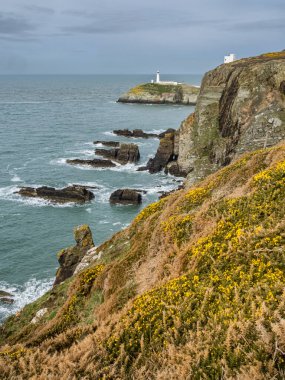 Anglesey Kuzey Galler 'in Güney Yığını Deniz Feneri Adası
