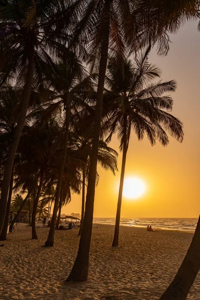 Beach Sunset Kota Gambia Africa — Stock Photo, Image