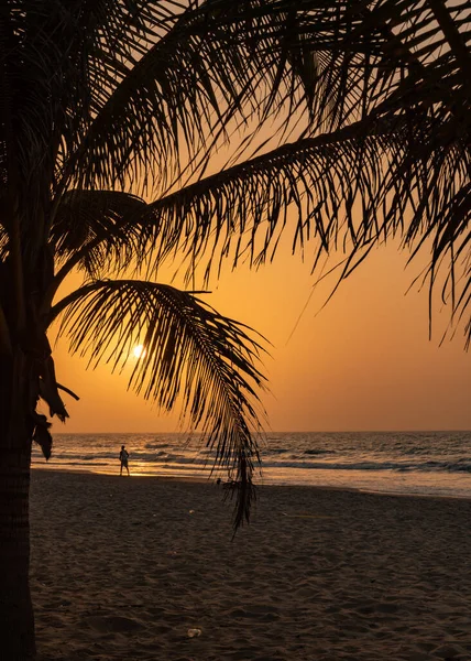 Beach Sunset Kota Gambia Africa — Stock Photo, Image