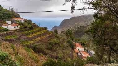 La Gomera Adası 'nın, Caneries' in etrafını geziyor.
