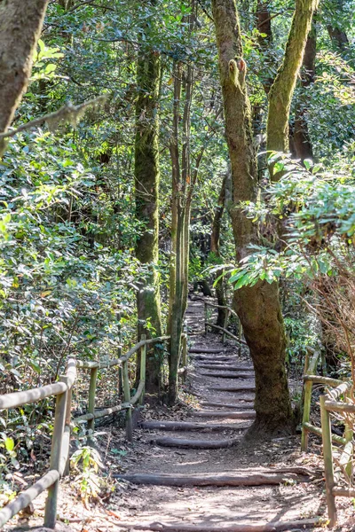 La Gomera Adası 'nın, Caneries' in etrafını geziyor.