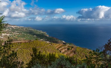 Kanarya Adaları ve Cape Verde 'nin etrafını gezer