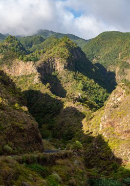 Kanarya Adaları ve Cape Verde 'nin etrafını gezer