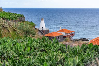 Kanarya Adaları ve Cape Verde 'nin etrafını gezer